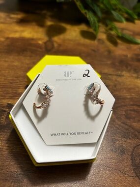 Bomb Party OG Rose Gold Hoops